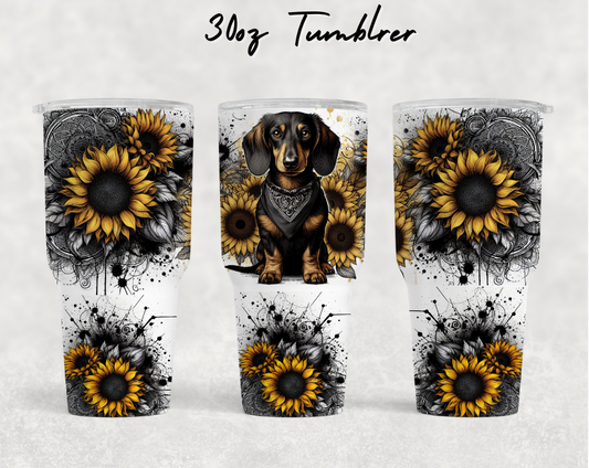 30oz NEW Tumblers - Yellow sunflower Dachshund