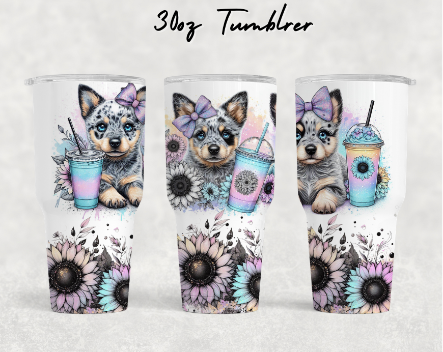 30oz NEW Tumblers - Cute cattle dog